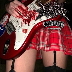 Cover of Underdog