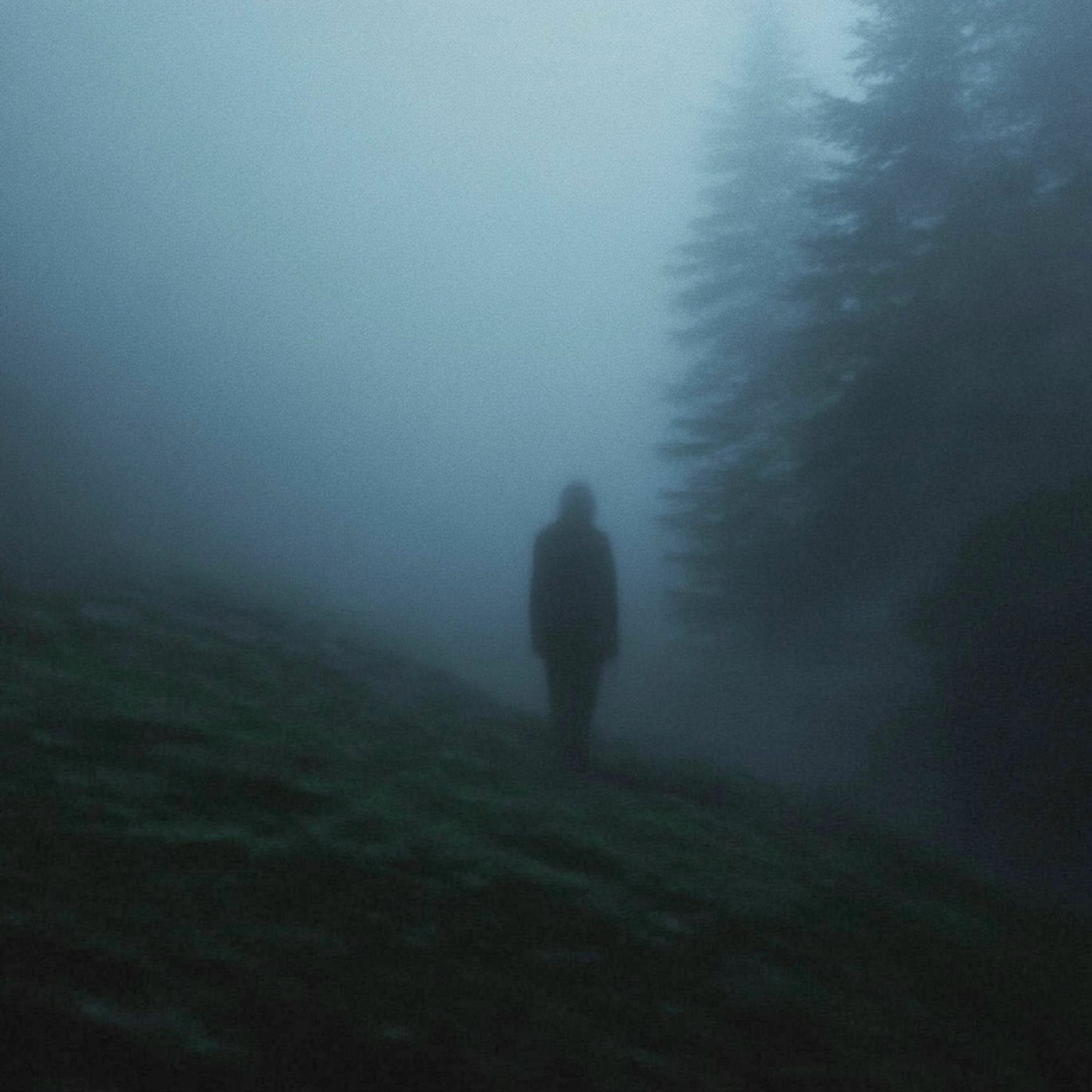 Album cover of never fall for nostalgia