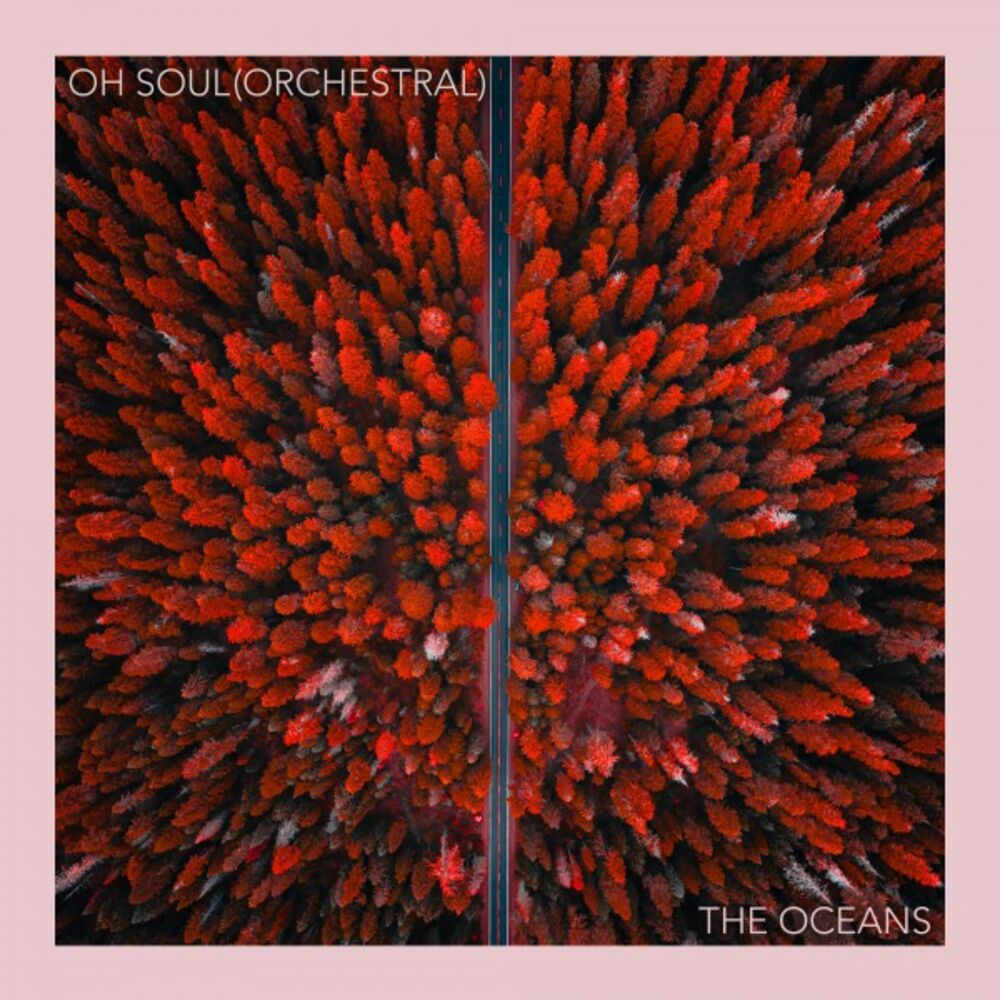 Picture of Oh Soul (Orchestral)
