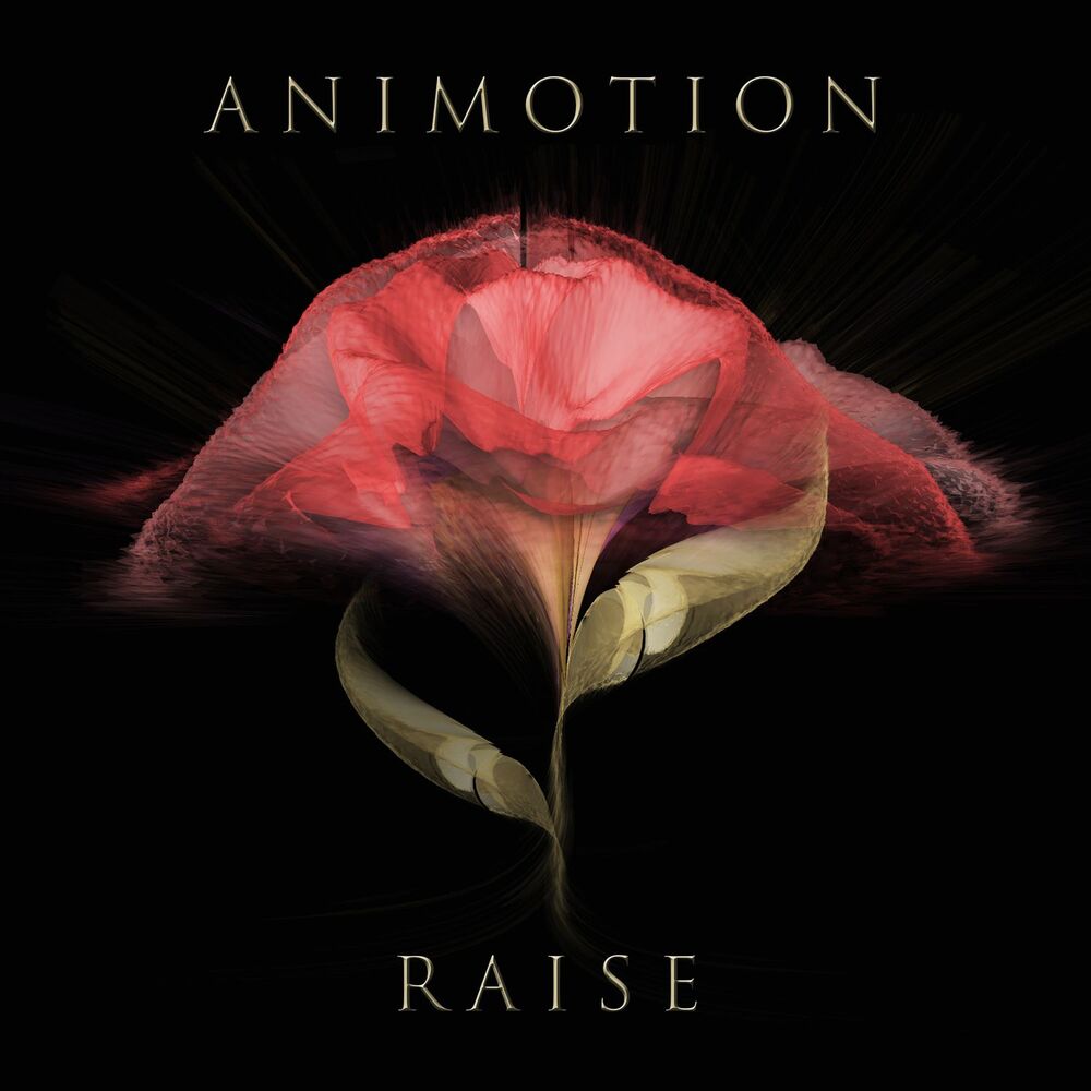 Picture of Raise Your Expectations