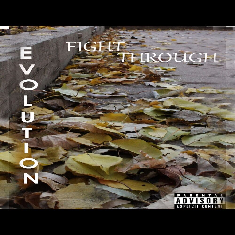 Picture of Fight Through