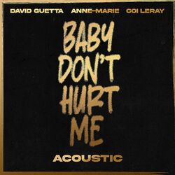 Cover of Baby Don't Hurt Me (Acoustic)