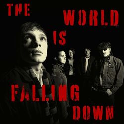Cover of The World Is Falling Down