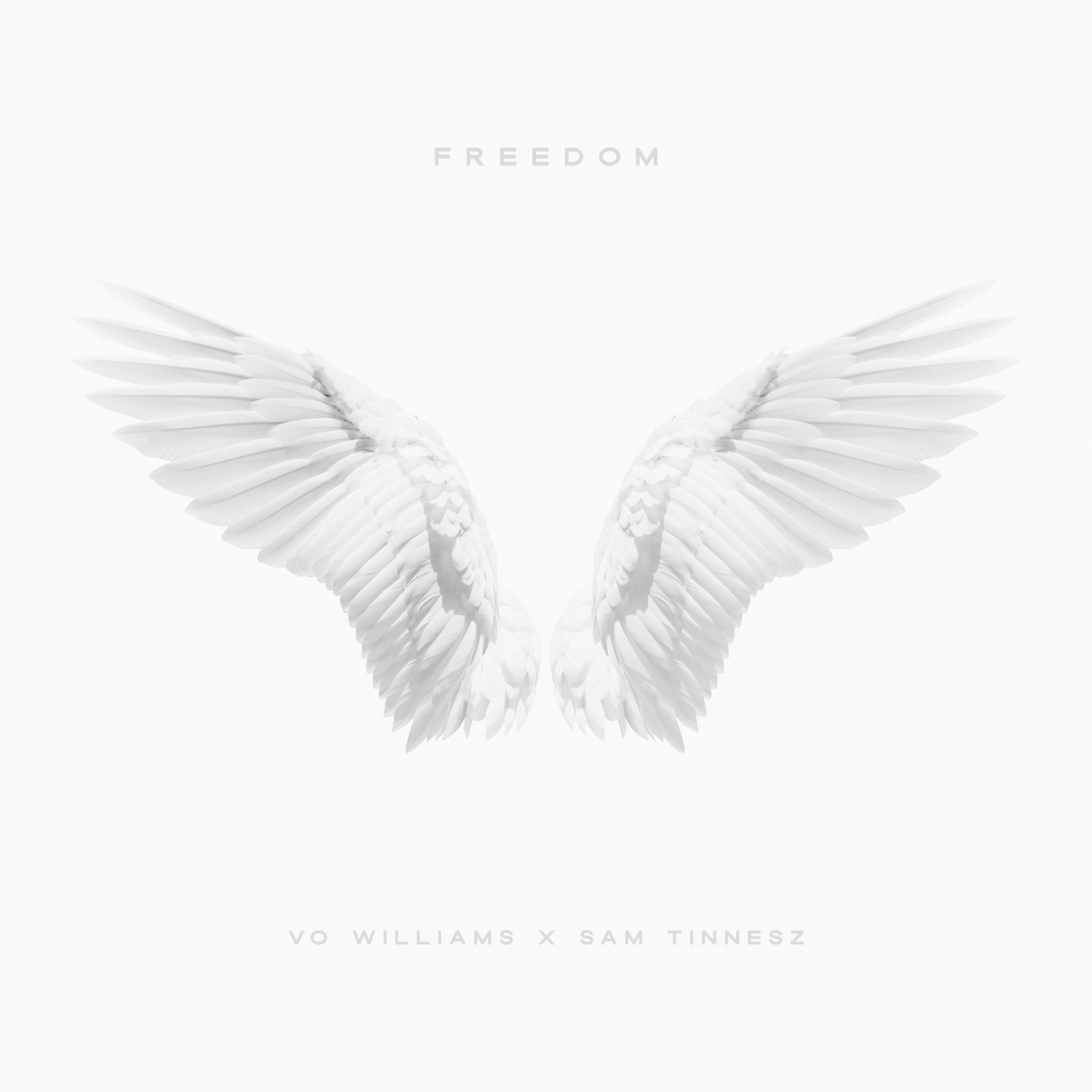 Album cover of FREEDOM