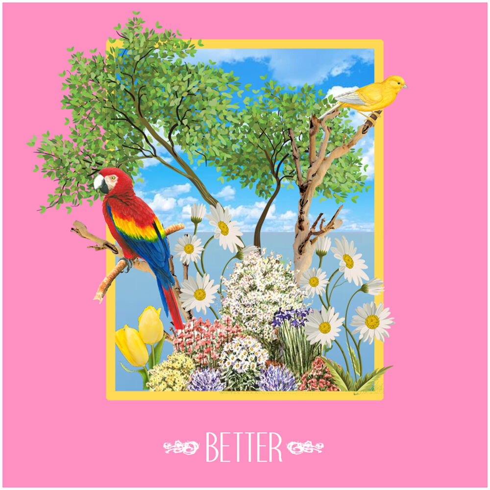 Picture of Better