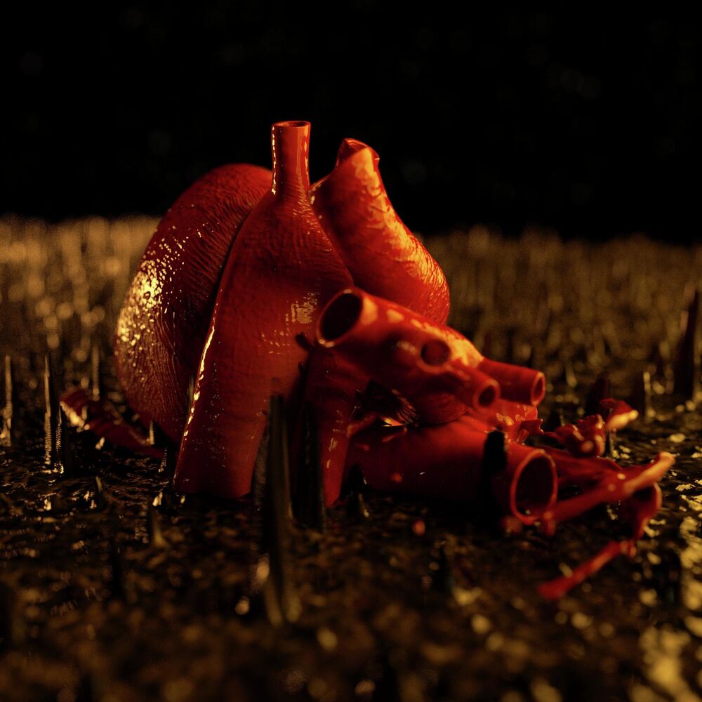 Picture of Corazón deforme