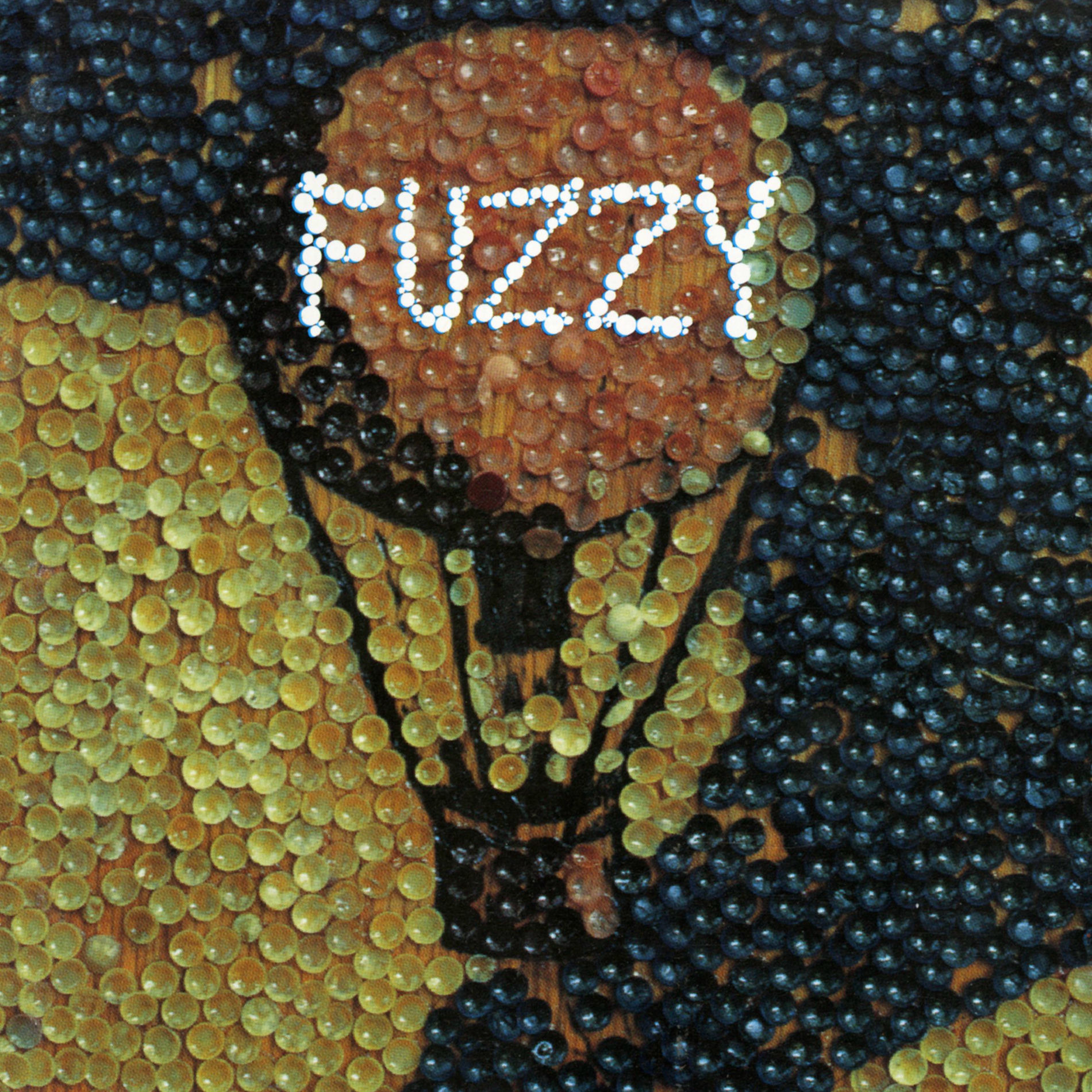 Album cover of Fuzzy