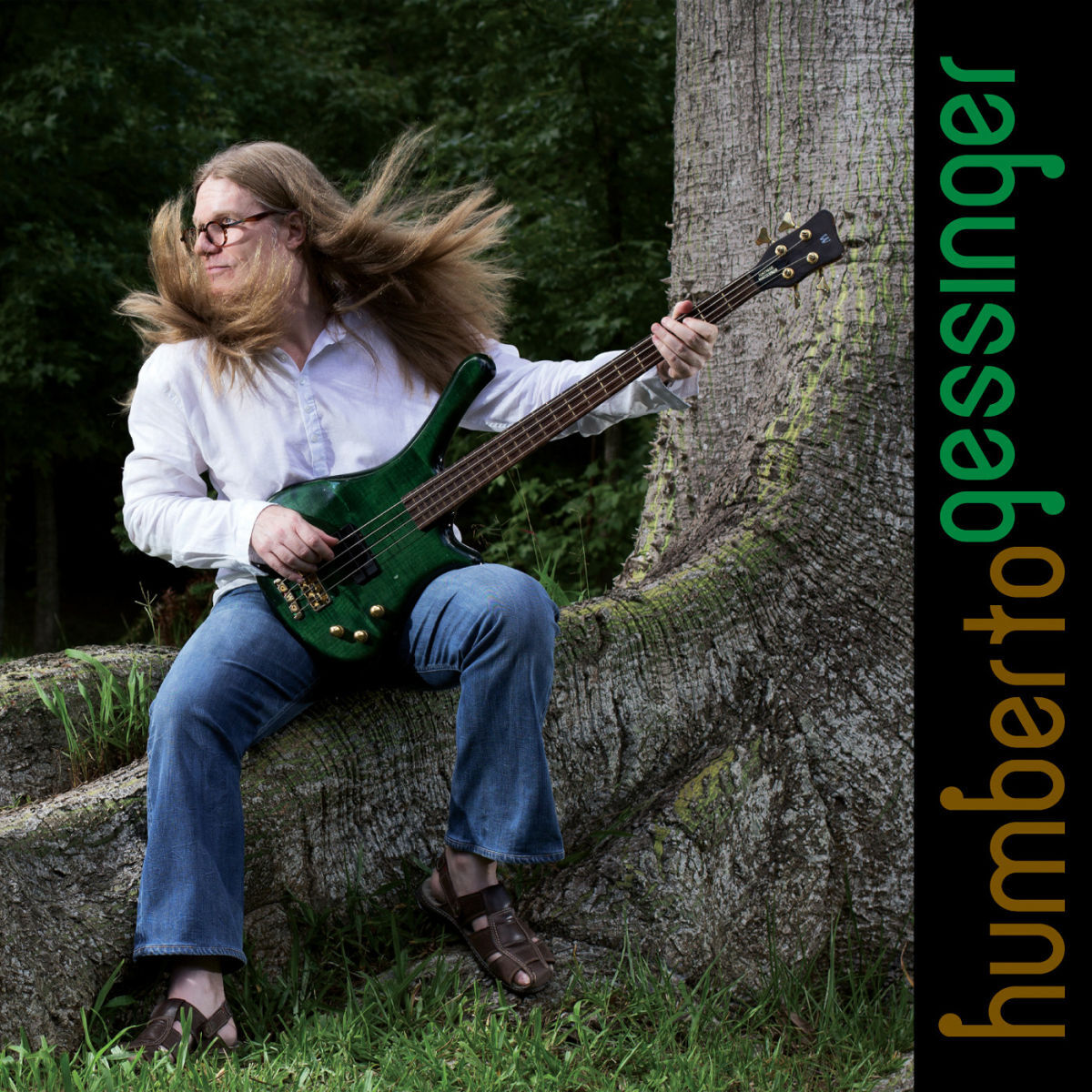 Album cover of Insular