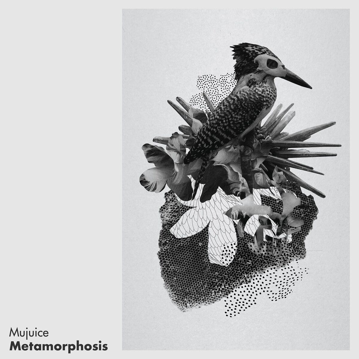 Album cover of Metamorphosis