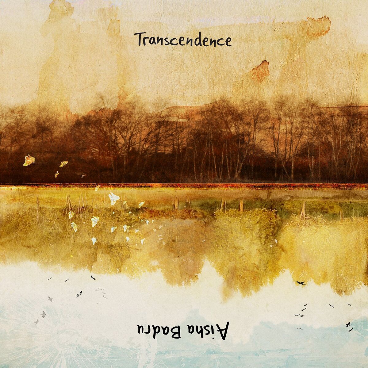 Album cover of Transcendence