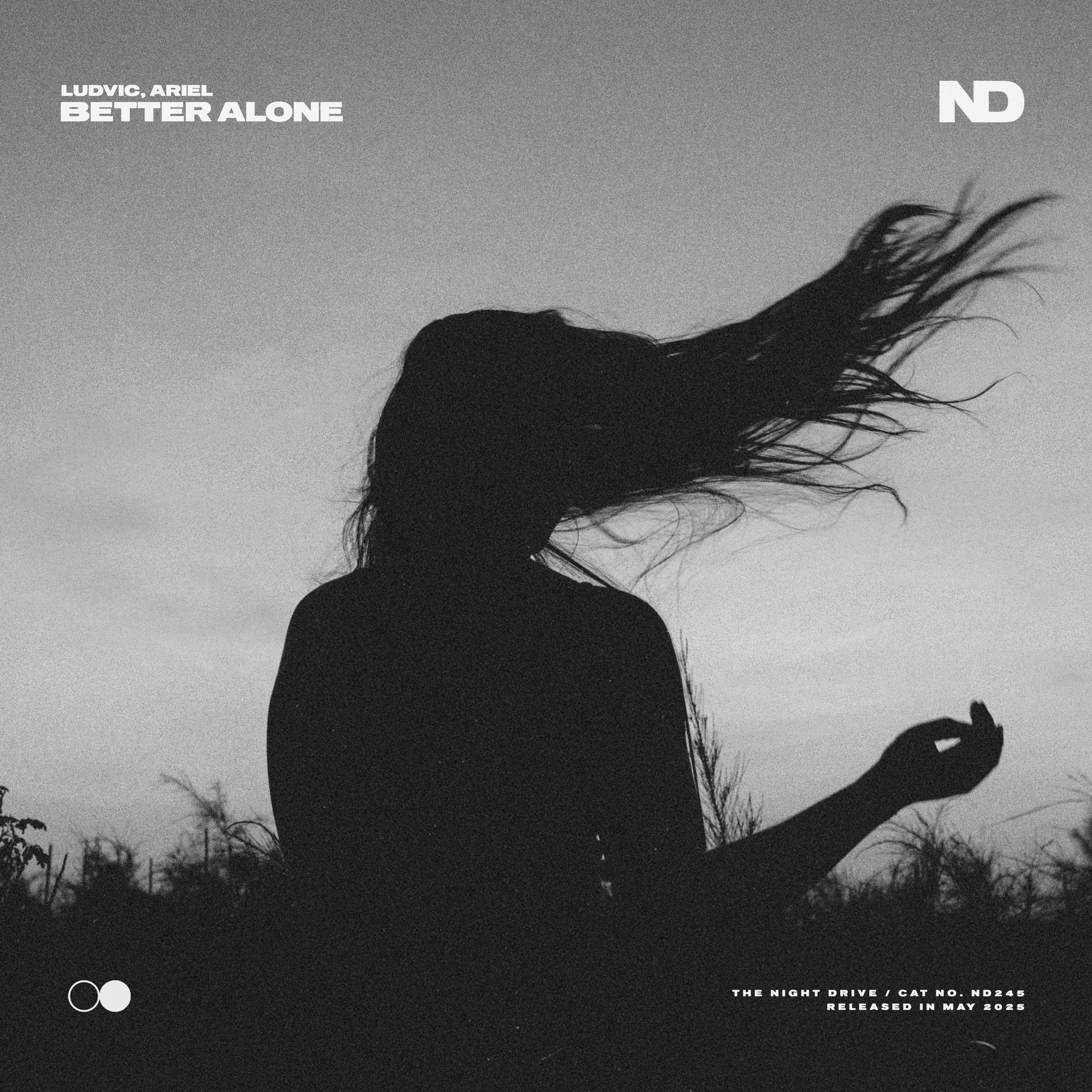 Album cover of Better Alone