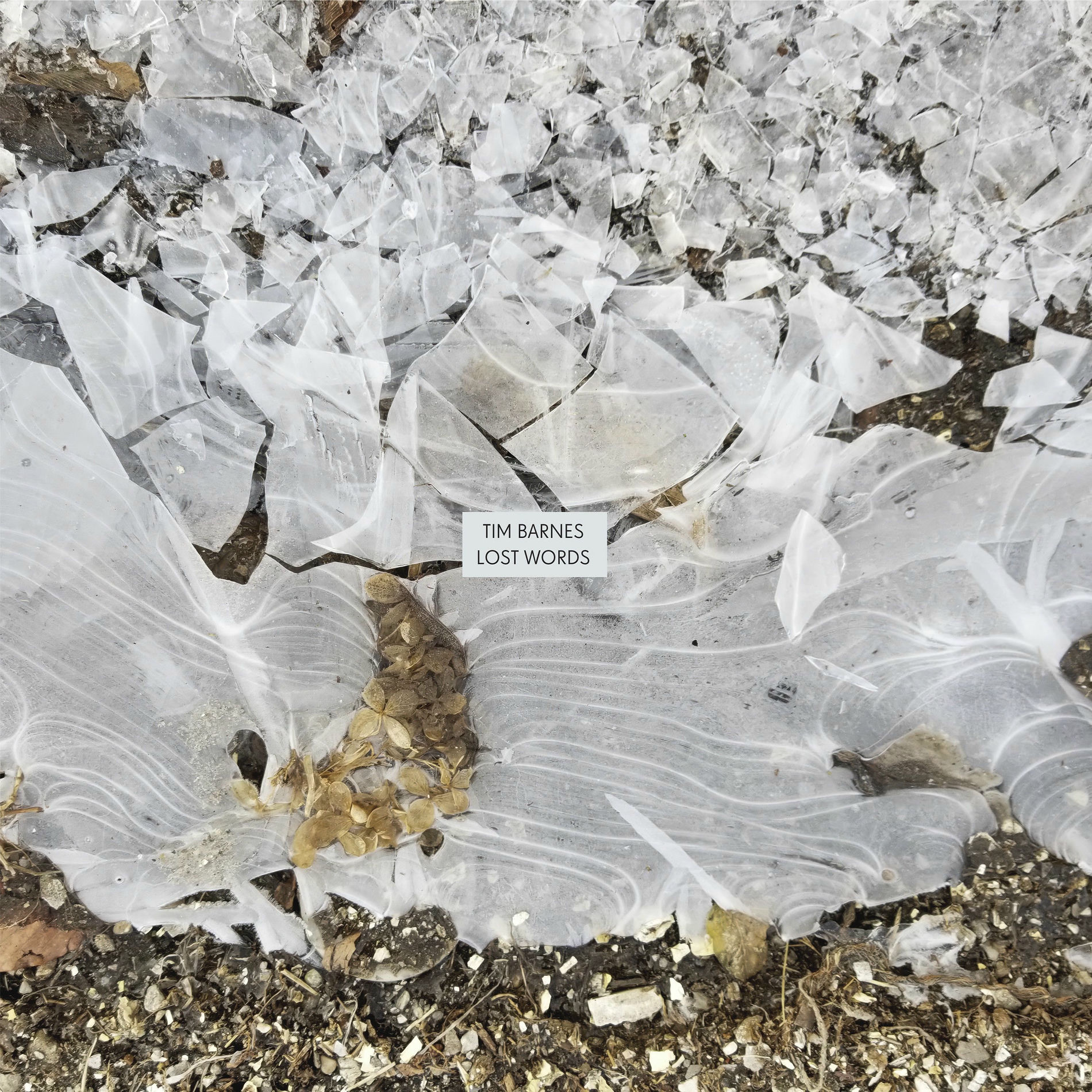 Album cover of At The Threshold