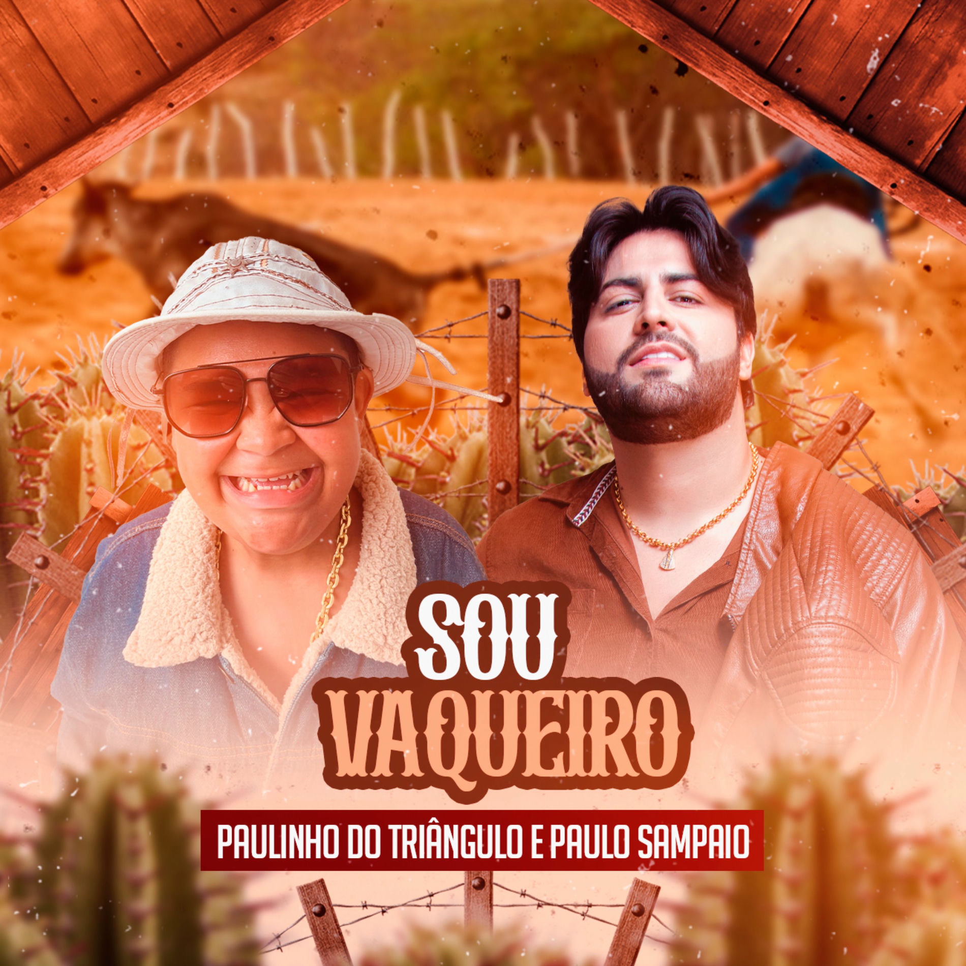 Album cover of Sou Vaqueiro