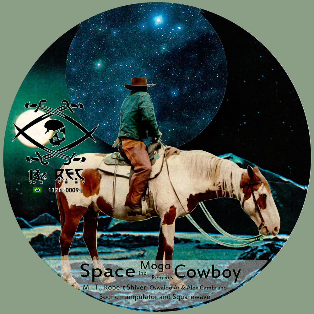 Picture of Space Cowboy