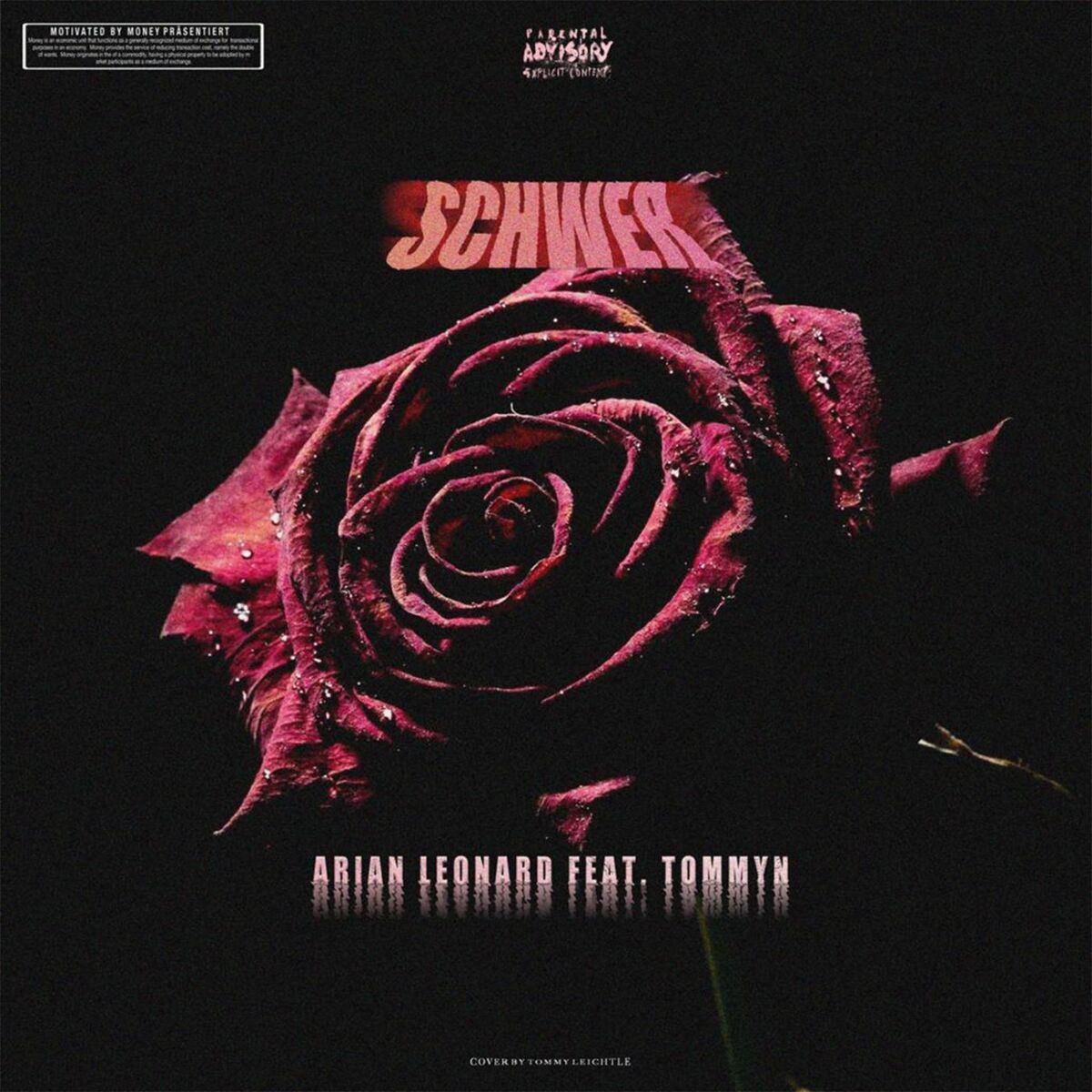 Album cover of Schwer