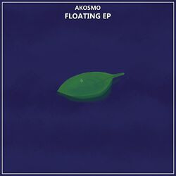 Cover of Floating