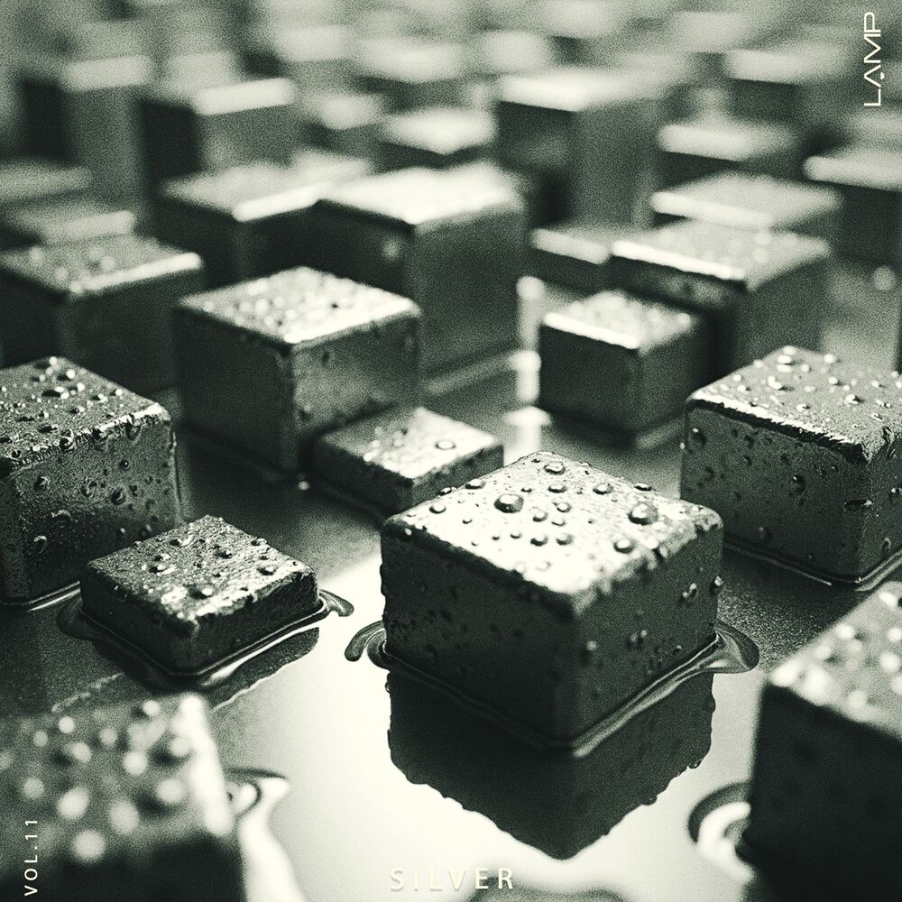 Picture of Silver, Vol. 11