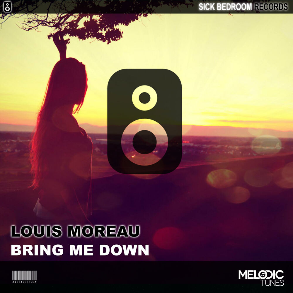 Picture of Bring Me Down