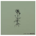 Roots