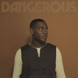 Cover of Dangerous