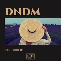 Cover of Time Traveler