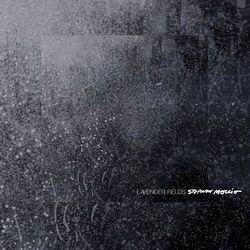 Cover of Lavender Fields