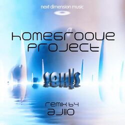 Cover of Souls
