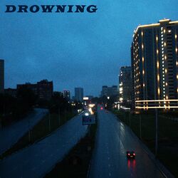 Cover of Drowning