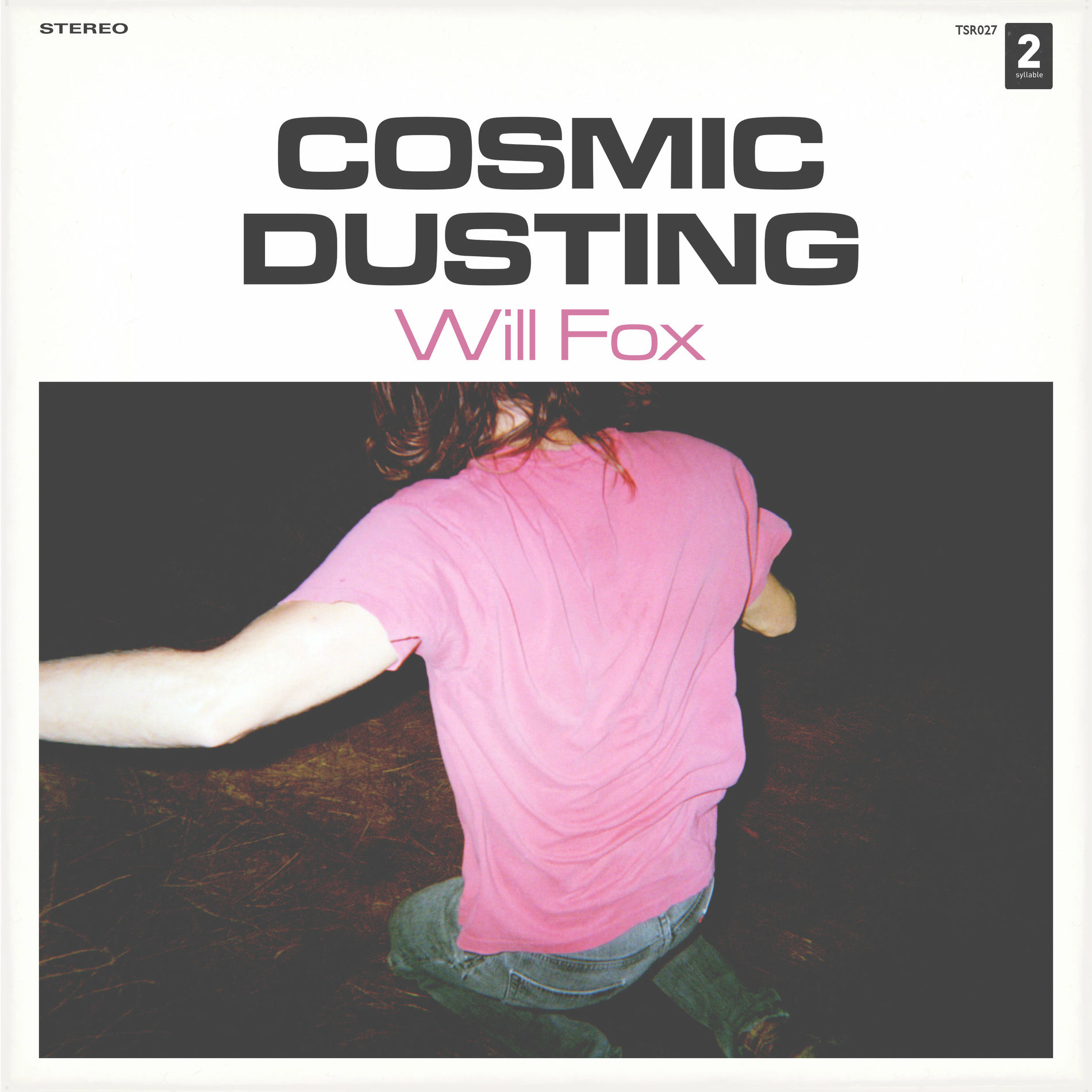 Album cover of Cosmic Dusting