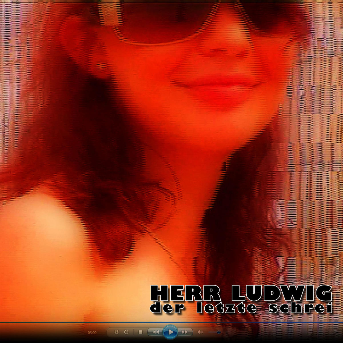 Album cover of Der letzte Schrei