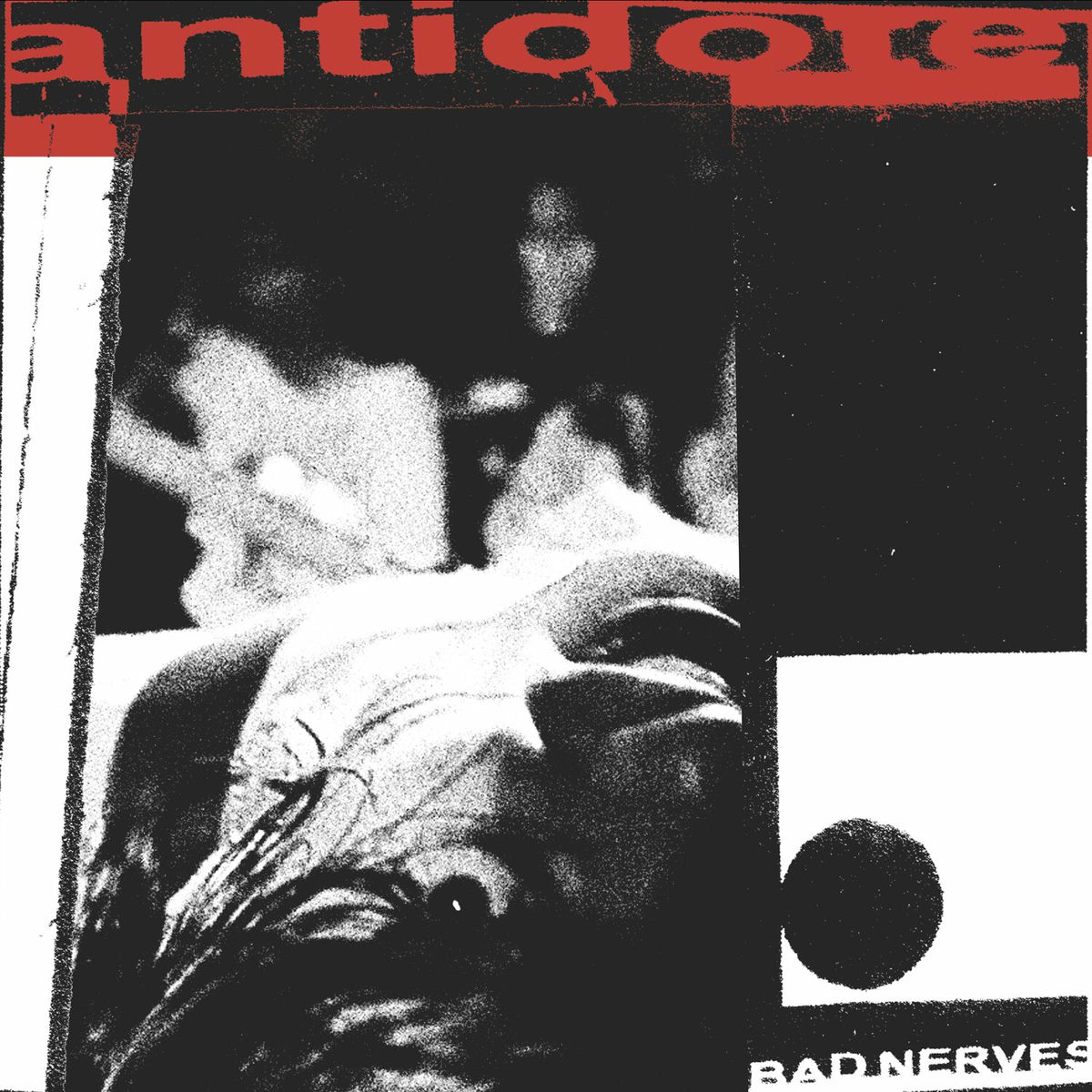 Album cover of Antidote