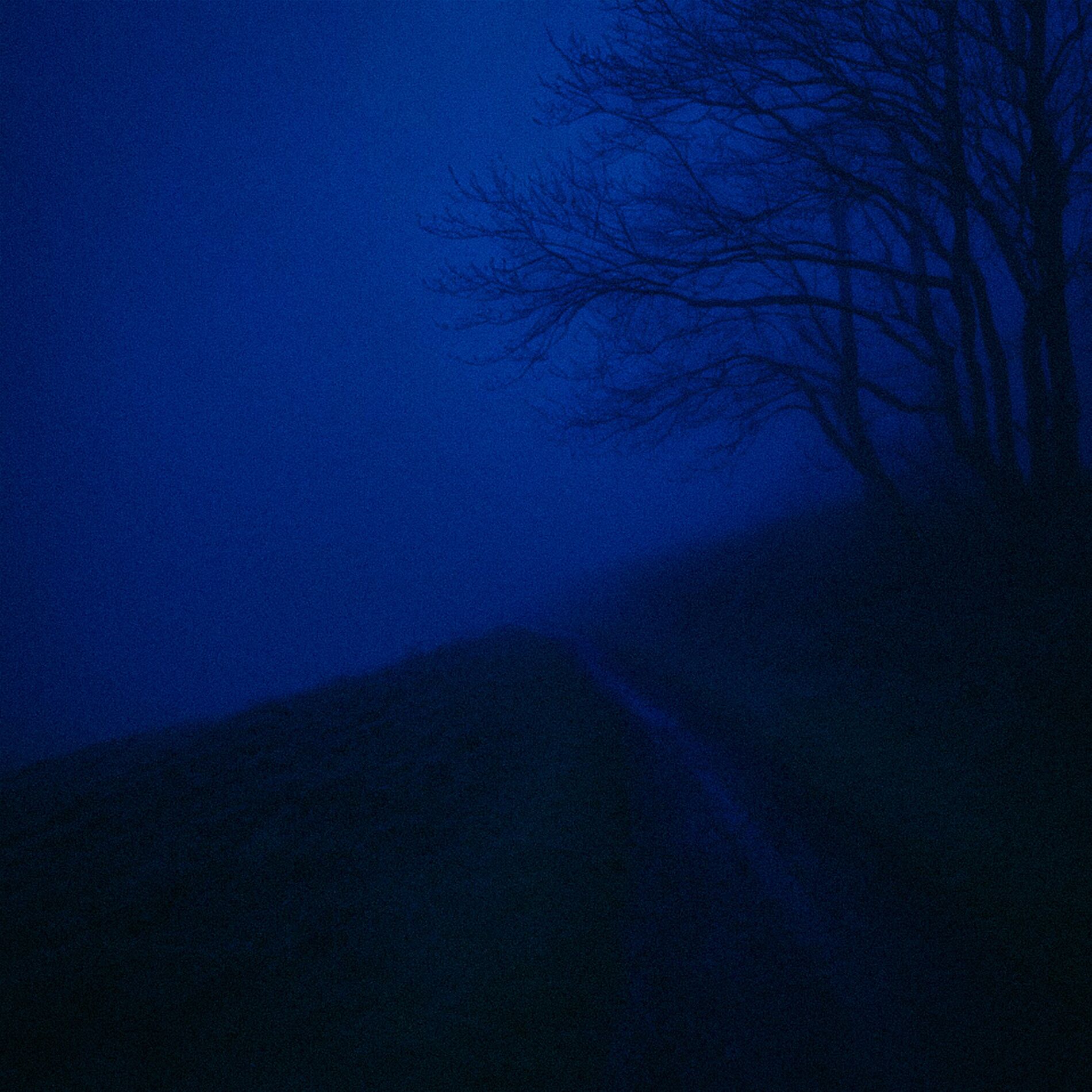 Album cover of Éveil