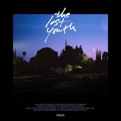 Cover of The Lost Youth