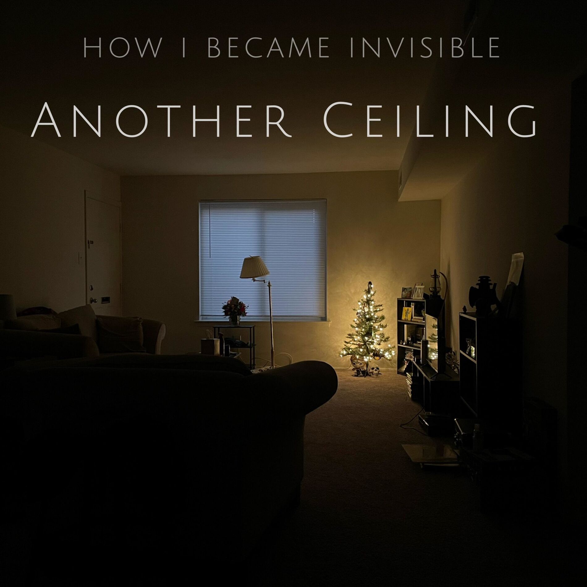Album cover of Another Ceiling