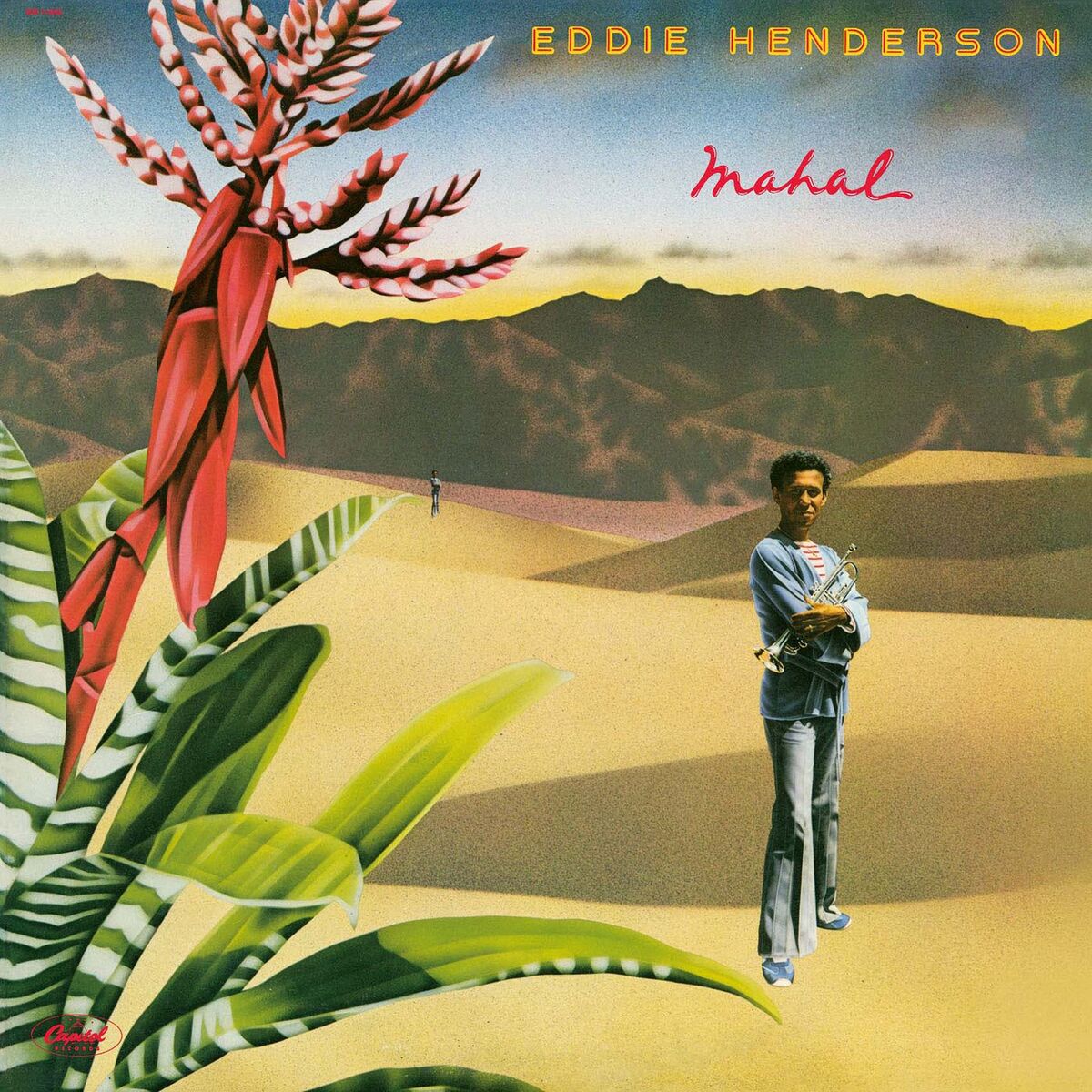 Album cover of Mahal