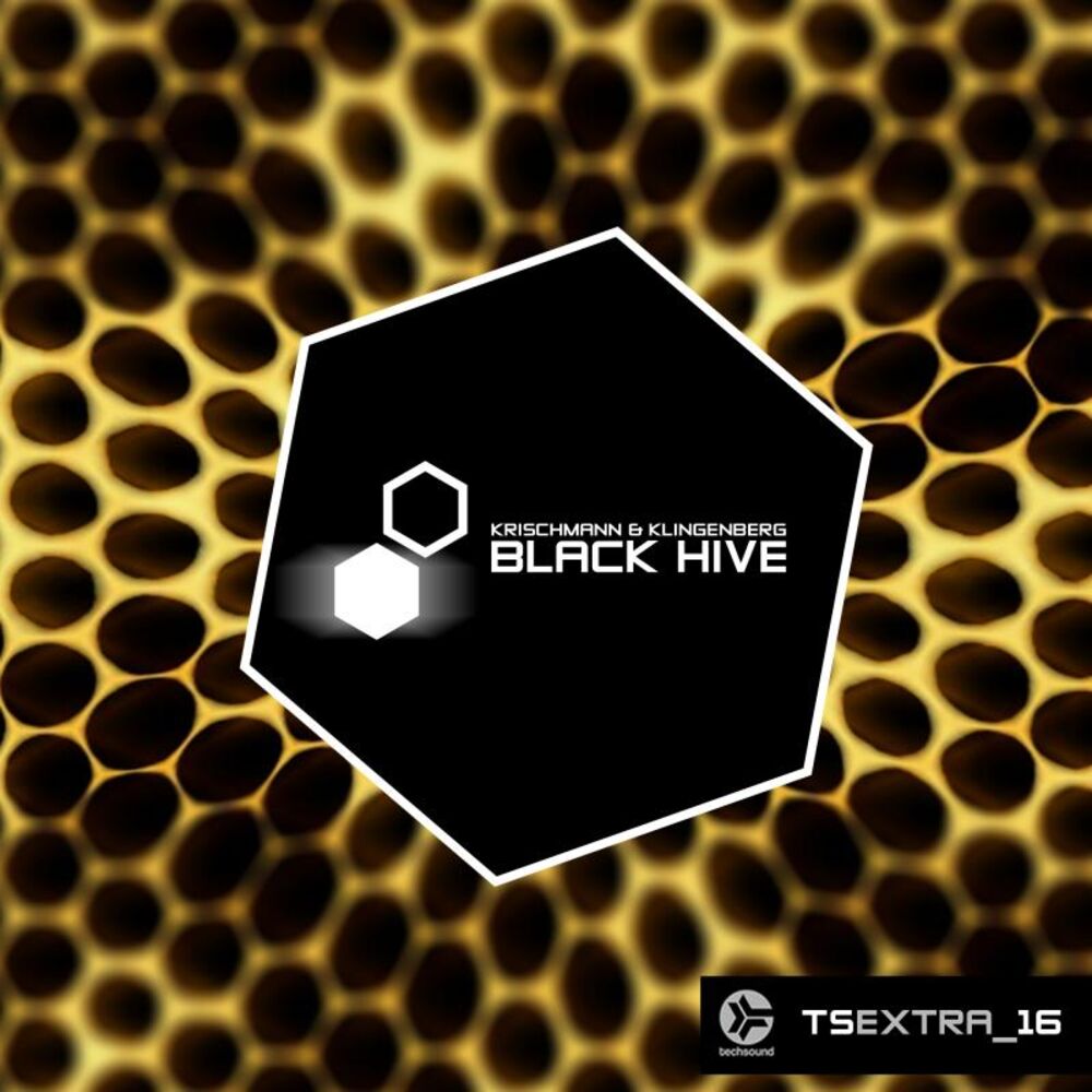 Picture of Techsound Extra 16: Black Hive