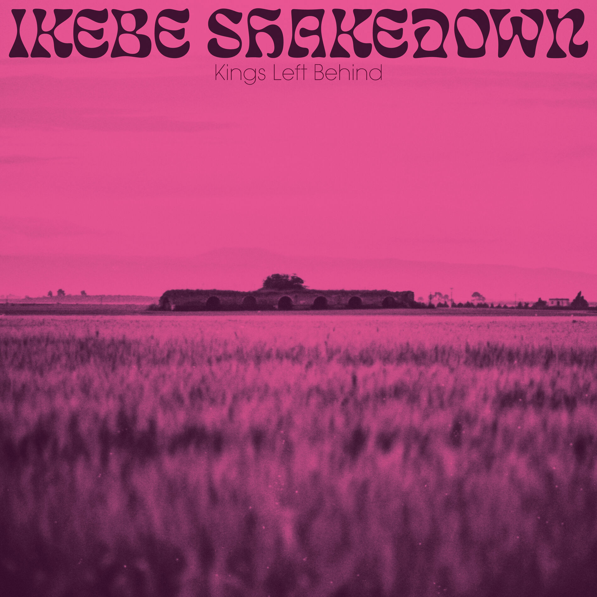 Album cover of Kings Left Behind