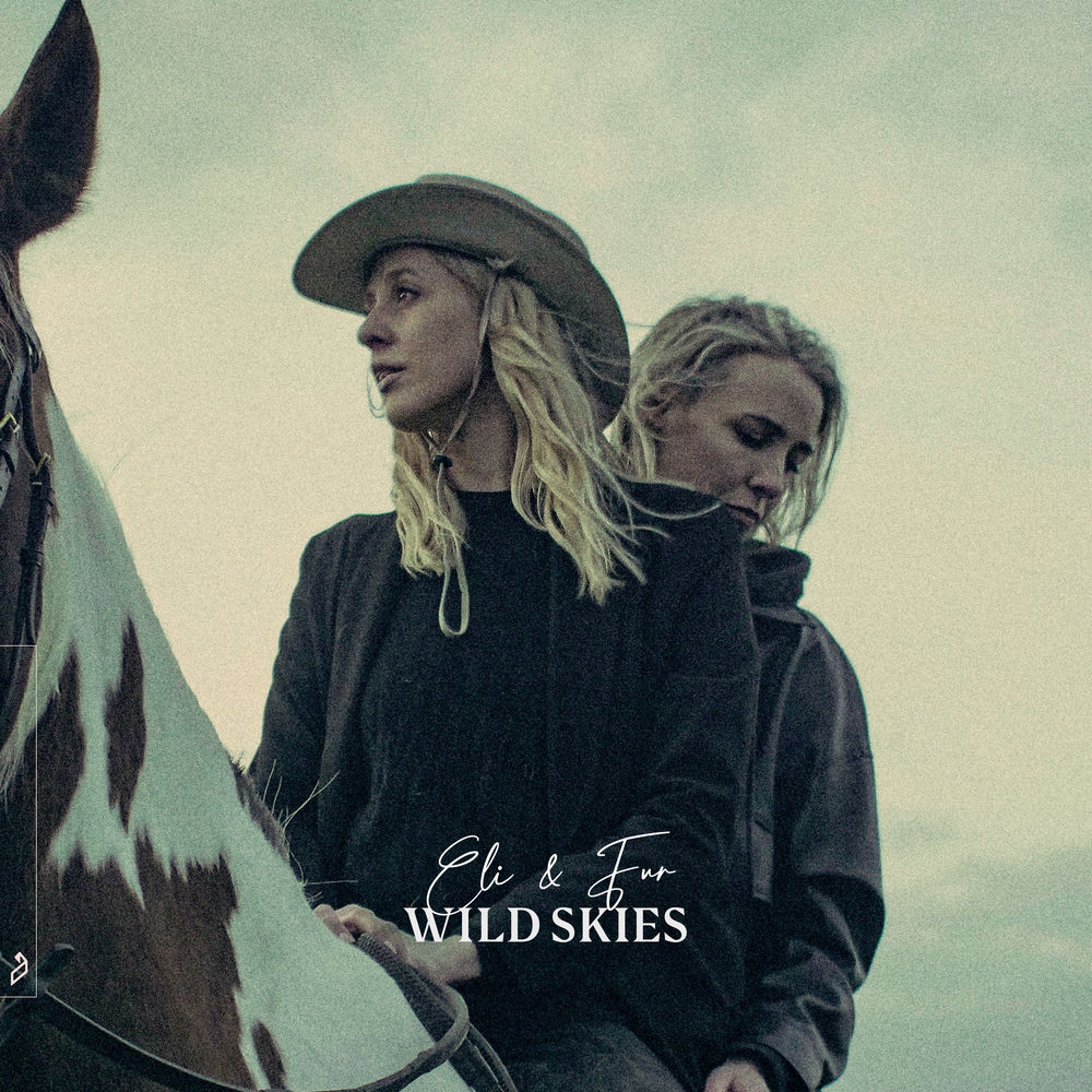 Wild Skies cover