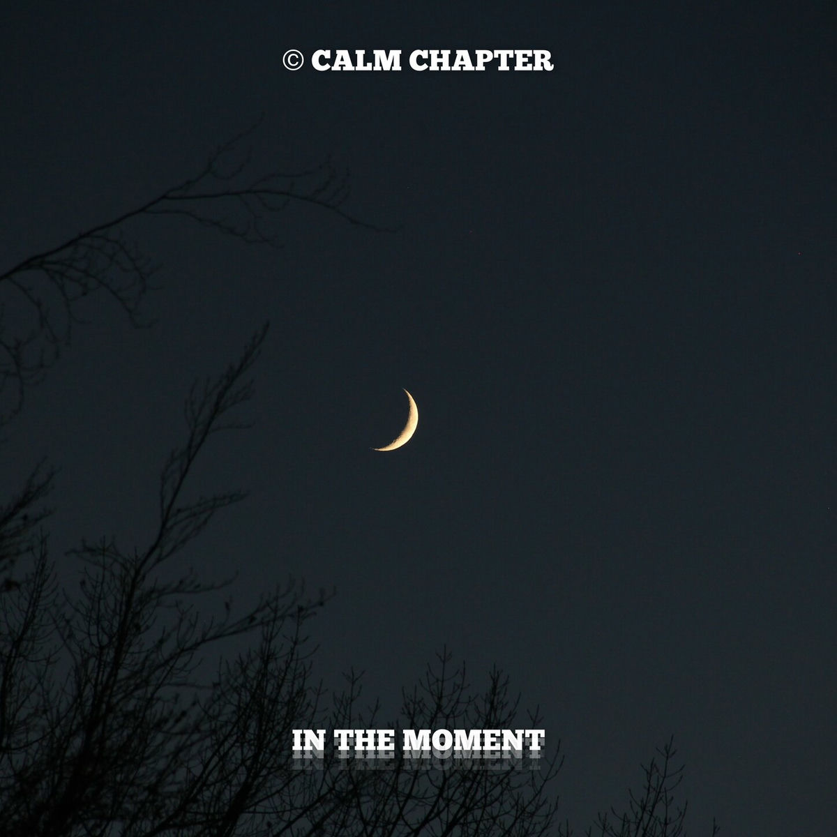 Album cover of In The Moment