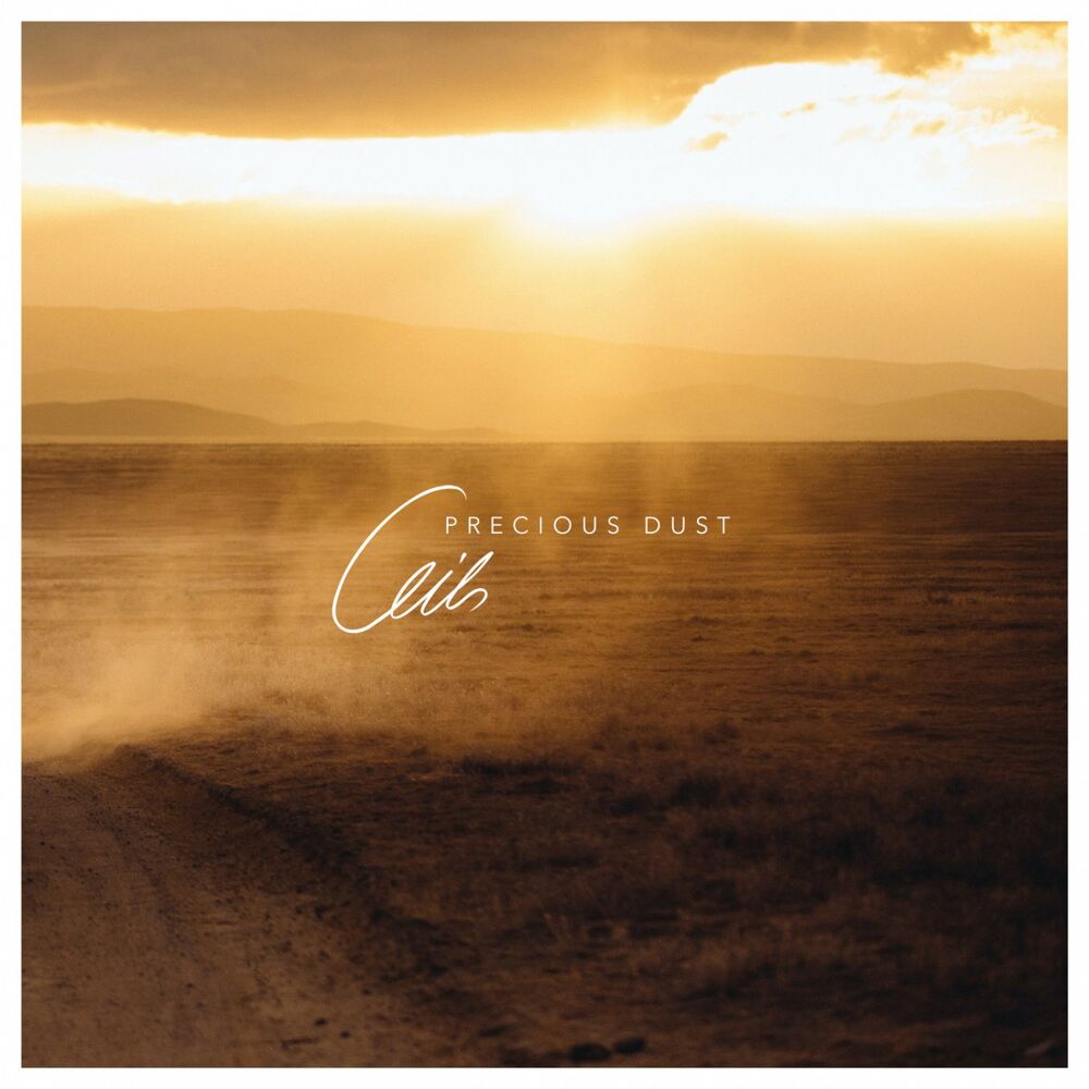 Picture of Precious Dust