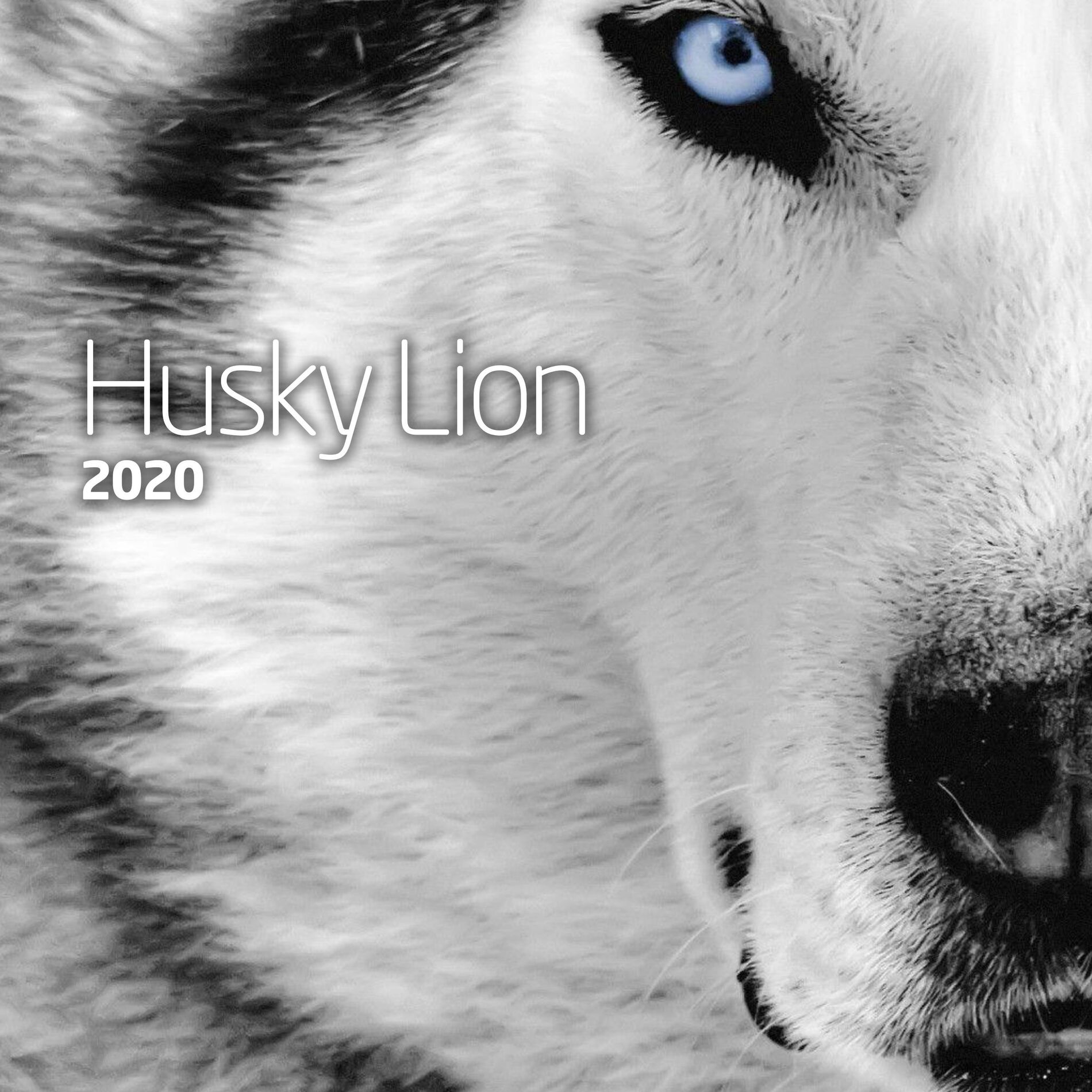 Album cover of 2020