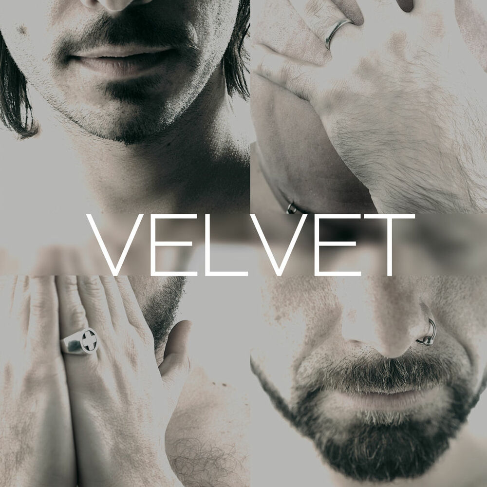 Picture of Velvet