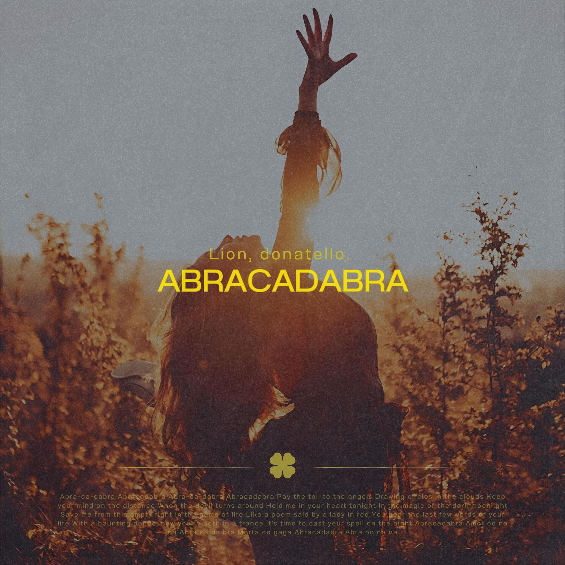 Album cover of Abracadabra