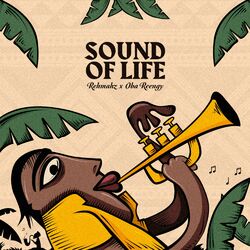 Cover of Sound of Life