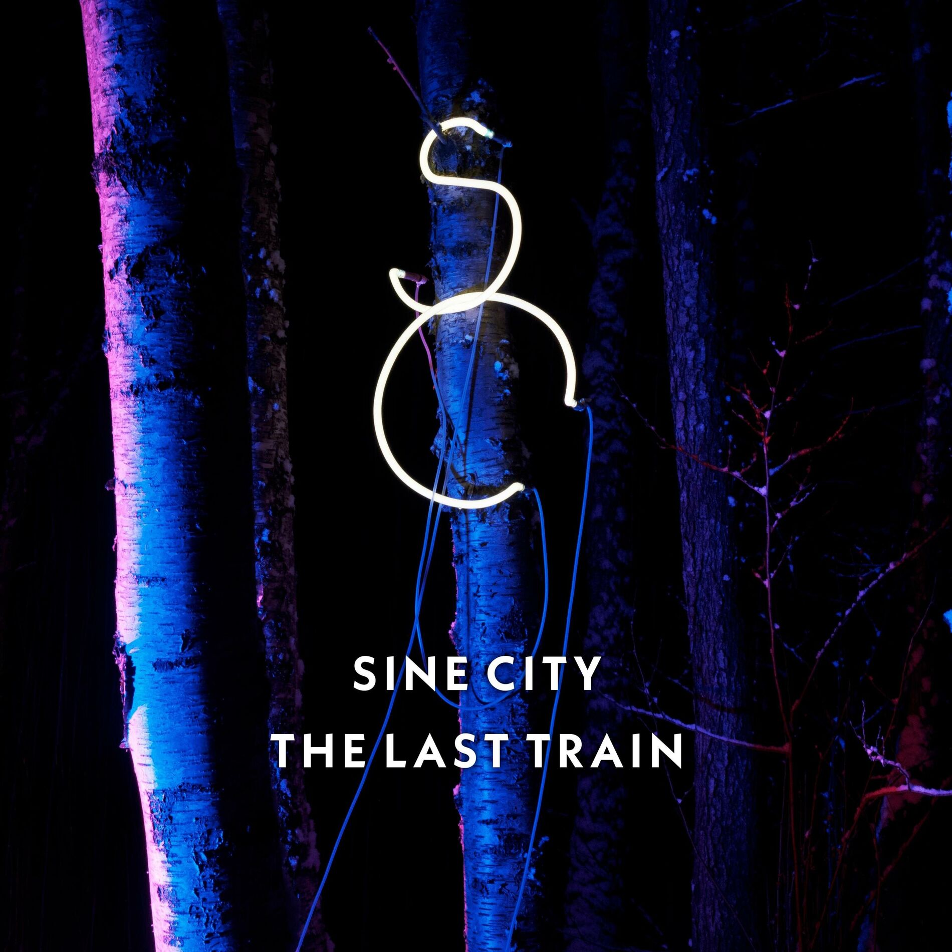 Album cover of The Last Train