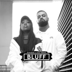 Cover of Bluff