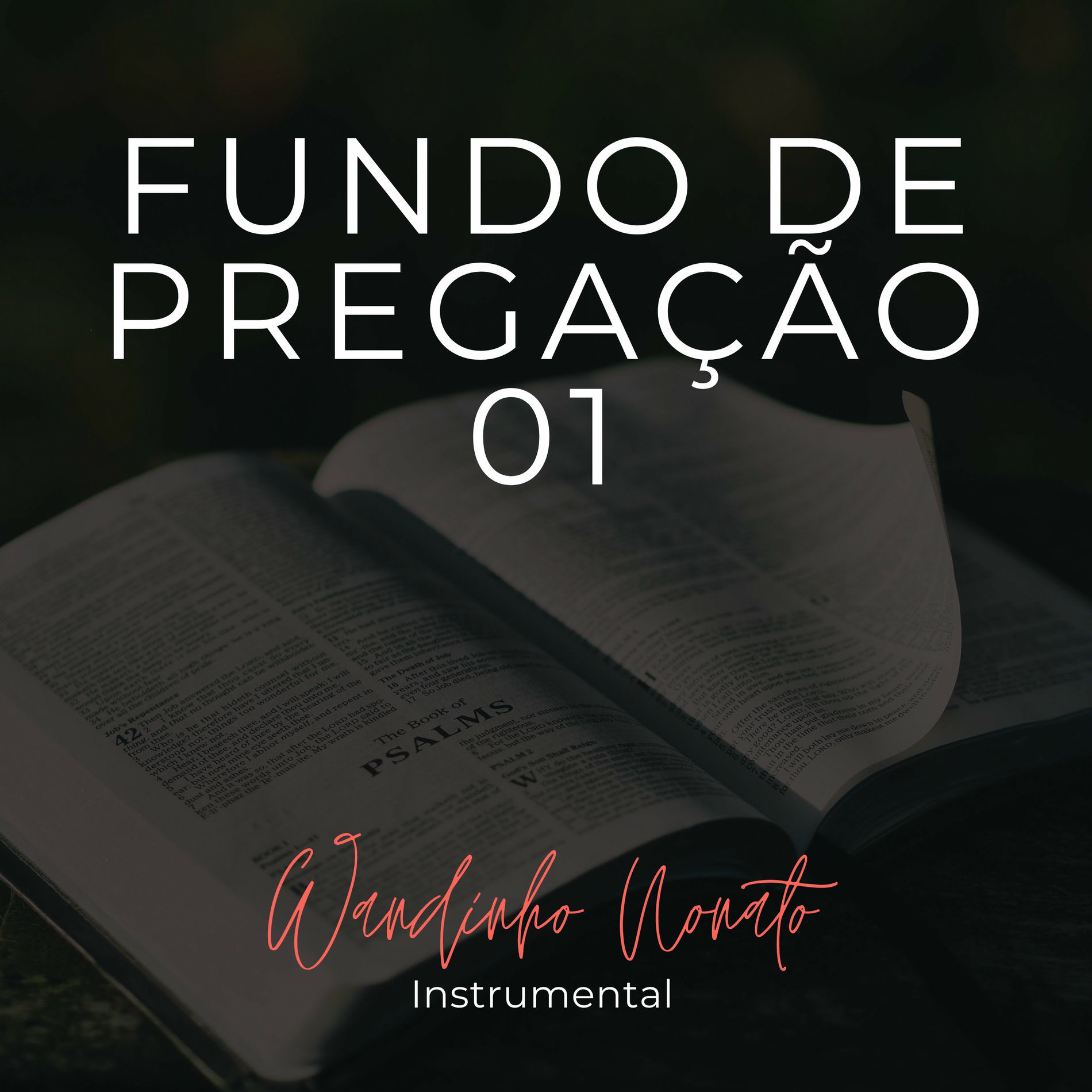 Album cover of Fundo de Pregação 01