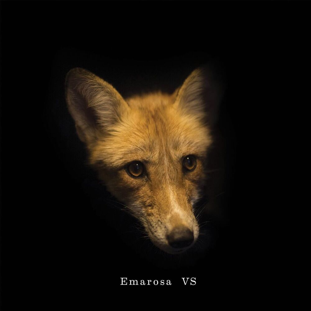 Picture of Versus Reimagined