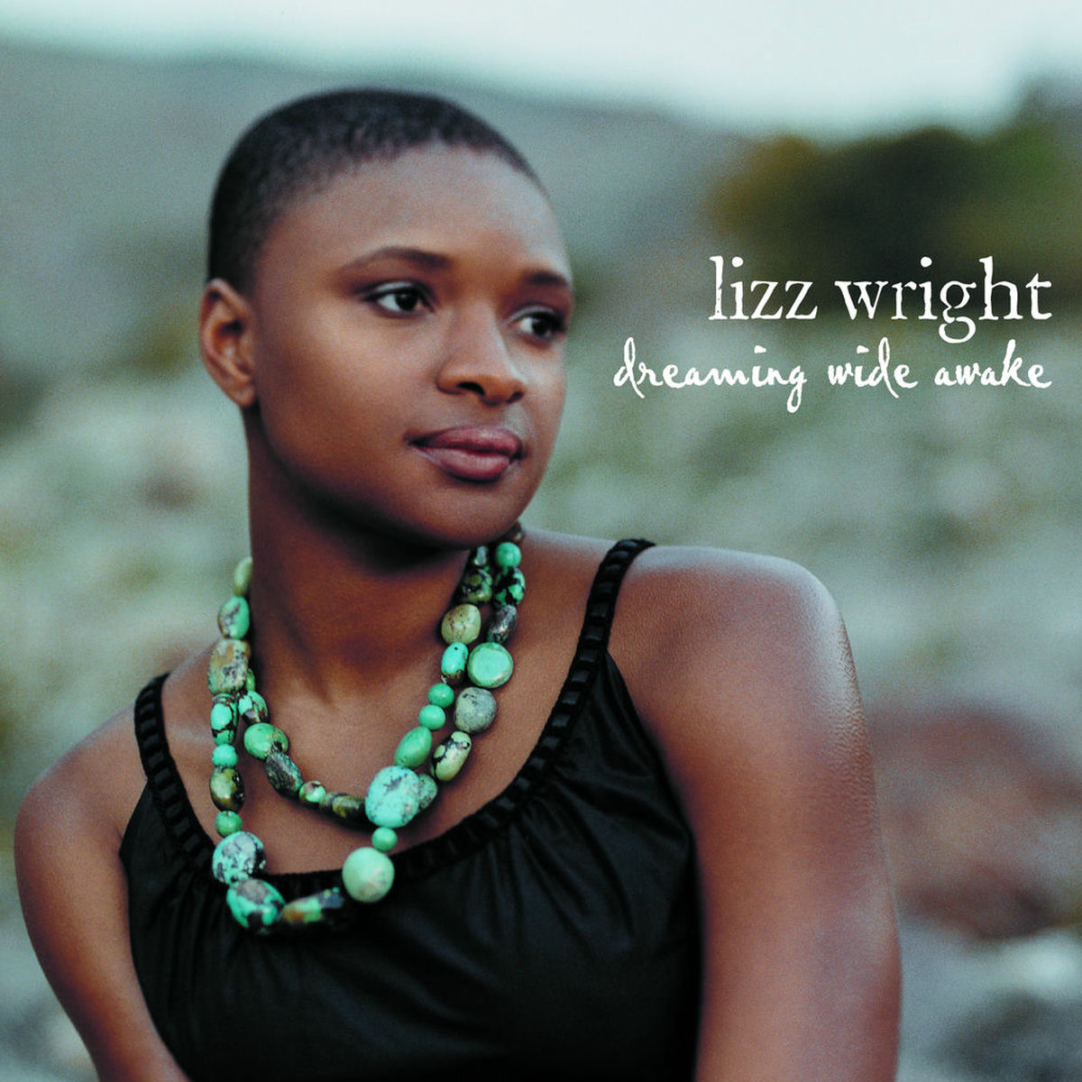 Album cover of Dreaming Wide Awake