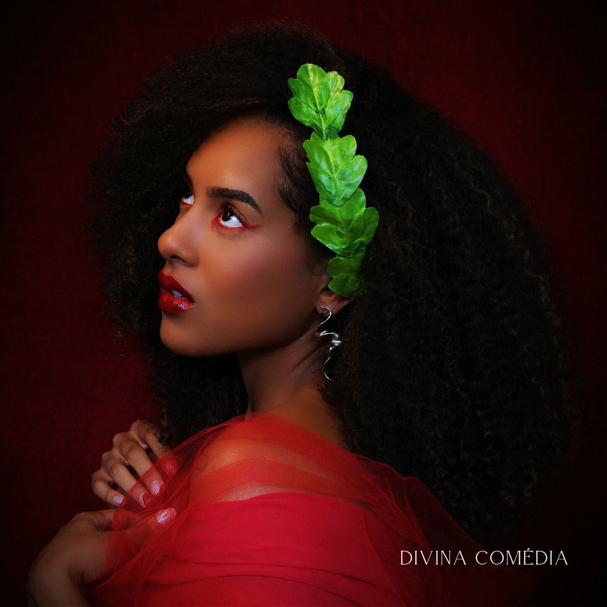 Album cover of Divina Comédia